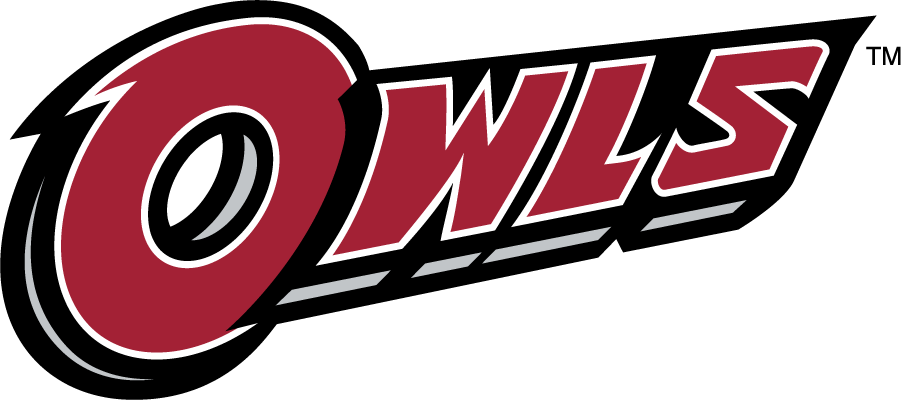 Temple Owls 2014-2020 Wordmark Logo iron on transfers for clothing